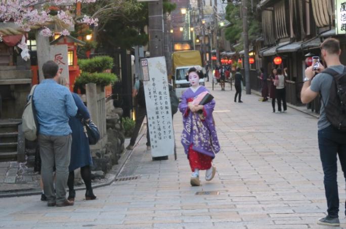 Geisha and Maiko: Mystery, Art, Tradition, and Culture