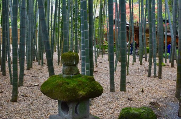 The path leads through a small and beautiful bamboo grove to a macha tea house
