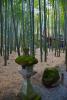 The path leads through a small and beautiful bamboo grove to a macha tea house